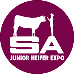 SA Junior Heifer Expo